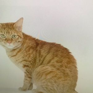 Meet your Posher, Jackson